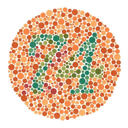 Ishihara Test